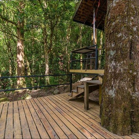 Unicorn Lodge: Direct Riverfront : Unique Experience San Gerardo de Dota Exteriér fotografie