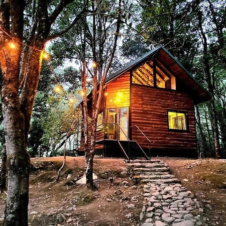 Unicorn Lodge: Direct Riverfront : Unique Experience San Gerardo de Dota Exteriér fotografie