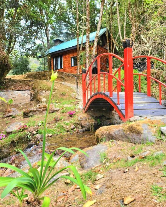 Unicorn Lodge: Direct Riverfront : Unique Experience San Gerardo de Dota Exteriér fotografie