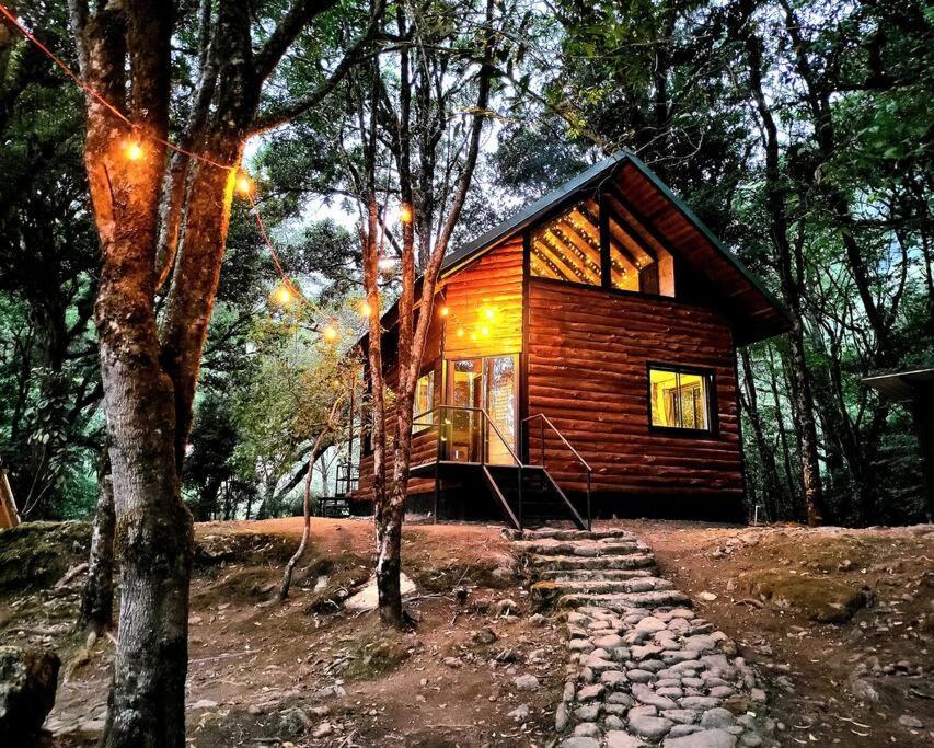 Unicorn Lodge: Direct Riverfront : Unique Experience San Gerardo de Dota Exteriér fotografie