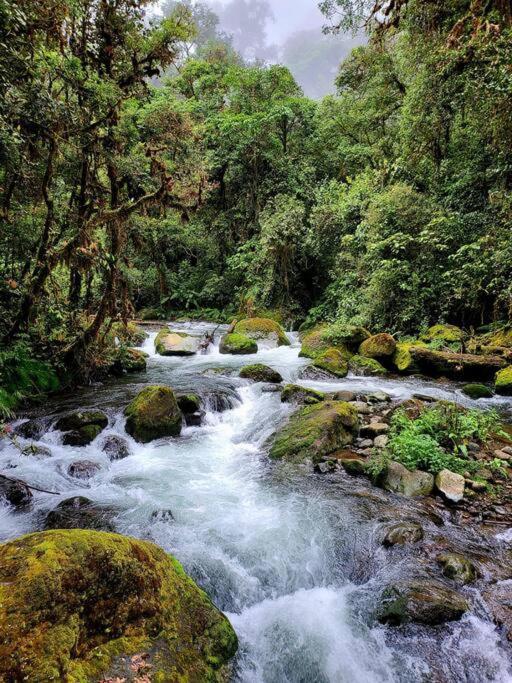 Unicorn Lodge: Direct Riverfront : Unique Experience San Gerardo de Dota Exteriér fotografie