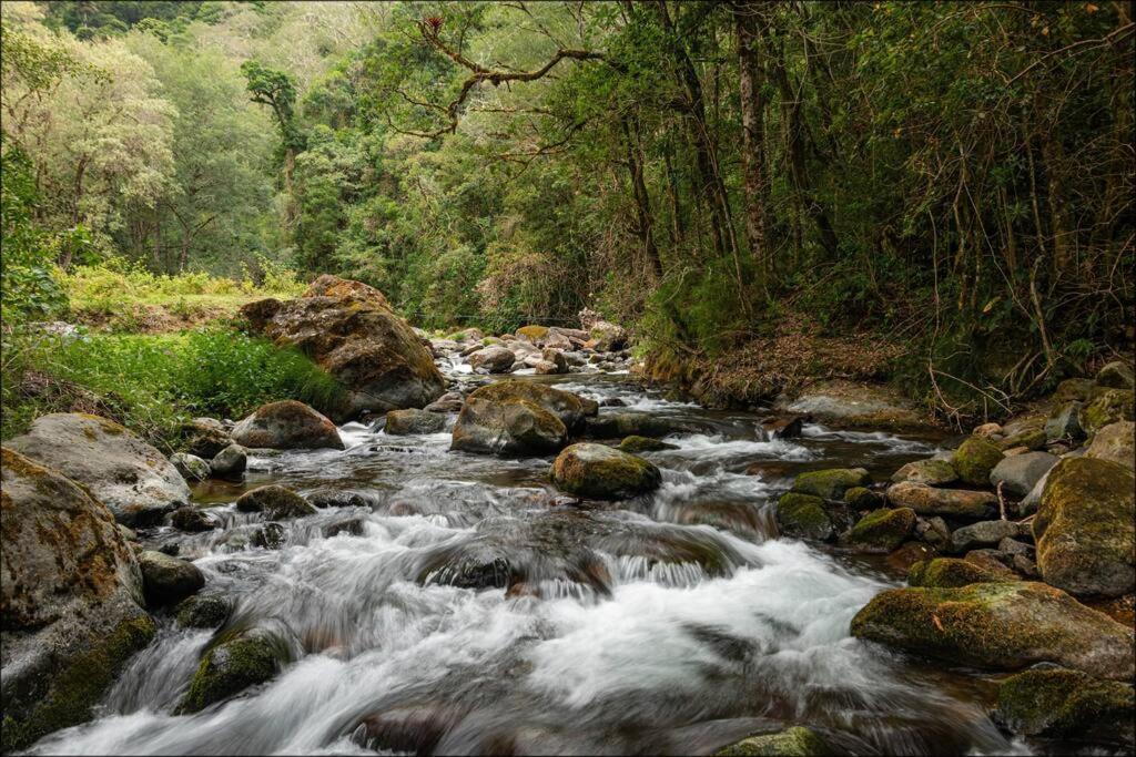 Unicorn Lodge: Direct Riverfront : Unique Experience San Gerardo de Dota Exteriér fotografie