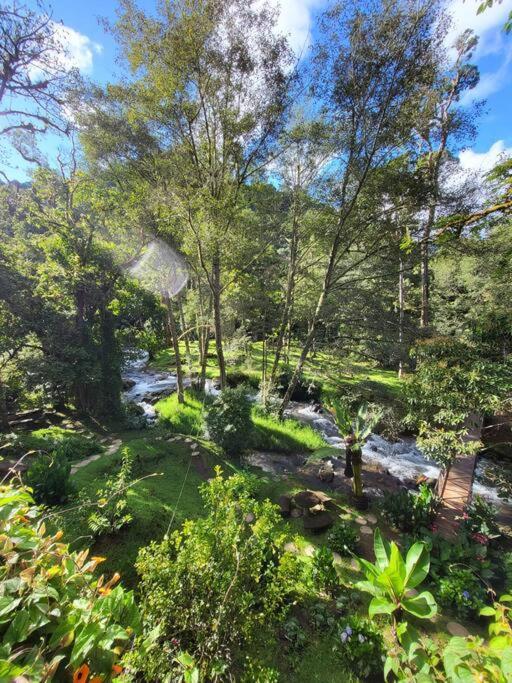 Unicorn Lodge: Direct Riverfront : Unique Experience San Gerardo de Dota Exteriér fotografie