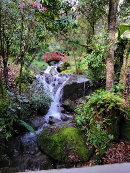 Unicorn Lodge: Direct Riverfront : Unique Experience San Gerardo de Dota Exteriér fotografie