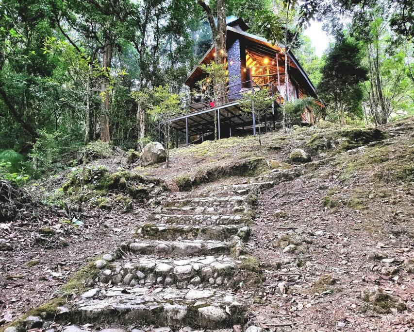 Unicorn Lodge: Direct Riverfront : Unique Experience San Gerardo de Dota Exteriér fotografie