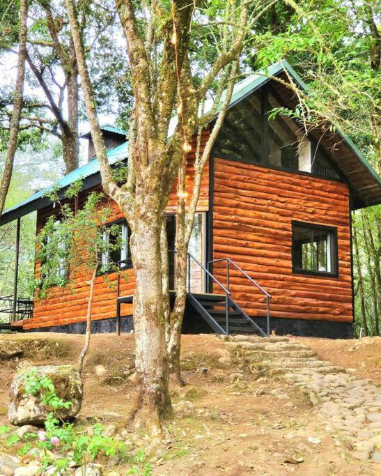 Unicorn Lodge: Direct Riverfront : Unique Experience San Gerardo de Dota Exteriér fotografie