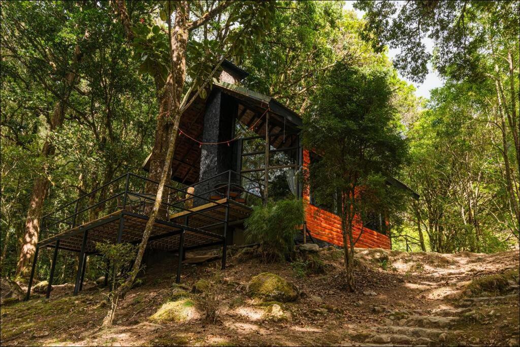 Unicorn Lodge: Direct Riverfront : Unique Experience San Gerardo de Dota Exteriér fotografie