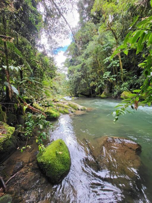 Unicorn Lodge: Direct Riverfront : Unique Experience San Gerardo de Dota Exteriér fotografie