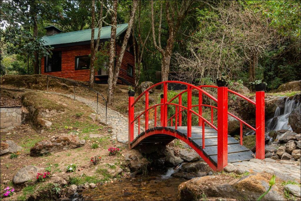 Unicorn Lodge: Direct Riverfront : Unique Experience San Gerardo de Dota Exteriér fotografie